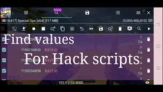 How to find values for Hack scripts? Finding unknown values. 
