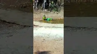 que água boa