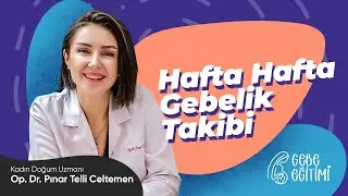 Kadın Doğum Uzmanı Pınar Telli Celtemen | Hafta Hafta Gebelik Takibi