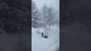 Климат в Приморском крае