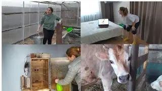 ПОКАЗЫВАЮ КАК ЕСТЬ И НЕ СТЕСНЯЮСЬ ...🙈🤱🐄🐓🐖🤗