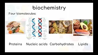 Introduction to Biochemistry: Definition, Scope, History, and Key Biomolecules