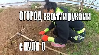 Опять копать, опять лопата. Начинающий огородник. Огород с нуля.