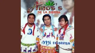 La Troca Del Moño Negro