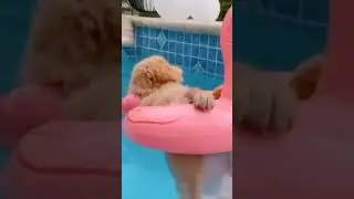 эээ 