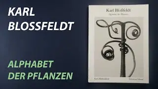 Karl Blossfeldt - Alphabet der Pflanzen