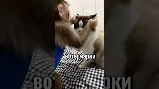 как убрать все вотермарки из текста от chatgpt /антиплагиат 