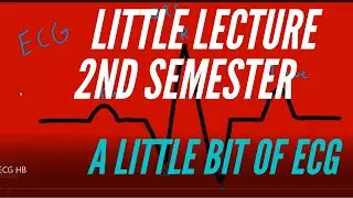 Little Lecture 2nd Semester: A LITTLE BIT OF ECG