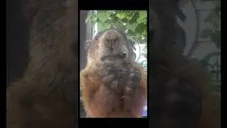 Wait For It!