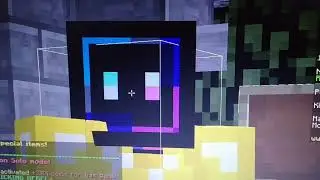 Java Edition?