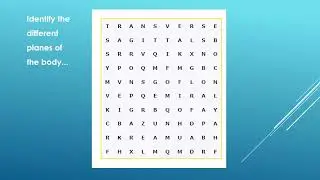 Identify planes of the human body