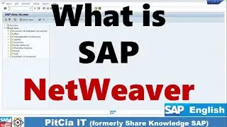 Basic Understanding of SAP NetWeaver 