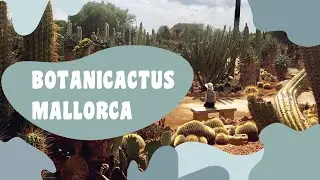 Ботаникактус на Майорке: гигантские кактусы | Botanicactus Mallorca