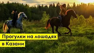 Конные прогулки в Казани. Цель №3 (11 из 100)