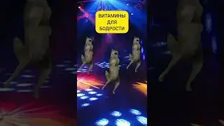 КОГДА ПЬЕШЬ ВИТАМИНЫ ОТ СИБИРСКОГО ЗДОРОВЬЯ #ихвильнихт #волк #танецволка #витамины