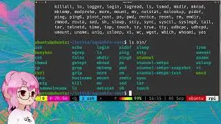 IoT Hacking - Firmware Analysis and Emulation