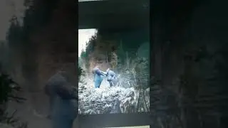Suddenly two monster fighting 