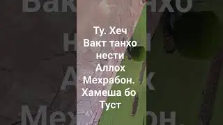Мудрость