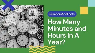 How Many Minutes and Hours In A Year