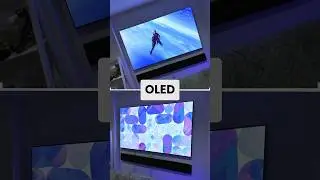 🔥 BEST 65 inch OLED TV 2024!