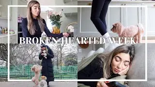 A BROKEN HEARTED WEEK | Amelia Liana