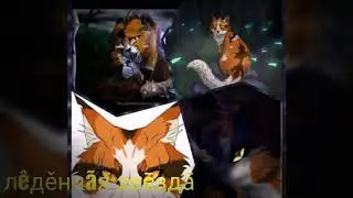 Коты воители клип-monster кленовница