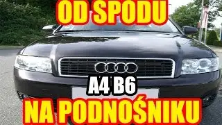 OD SPODU #14 NA PODNOŚNIKU AUDI MAŁYSZ A4 B6 2001r PODWOZIE ZAWIESZENIE CIEKAWOSTKI