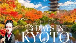 3 days in Kyoto. JAPAN Travel Itinerary 2023. Breathtaking destinations 4k
