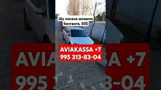 АВТОМОБИЛЬ МАРКА ТОПГАНГА 50$ кетти страрт #motivation#beruniy