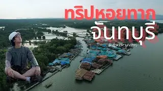 ทริปหอยทาก 