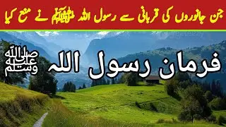 Animals That The Messenger Of Allah (ﷺ) Forbade From Sacrificing | RTH Urdu