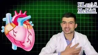 СТЕНОКАРДИЯ бу нима??? Юрак хуружи касаллиги , уй шароитида нима килиш керак.???