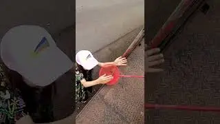 гном Соломон часть 3 #гномы