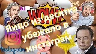 Яицо из десятка убежало в инстаграм