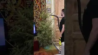 Пылесосим ёлку строительным пылесосом Karcher WD 3 CAR VAC, 1000 Вт
