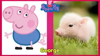 Peppa Pig Characters in Real Life 2022.Funny Peppa Pig.