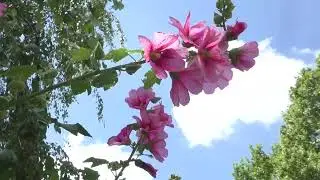 Прогулка