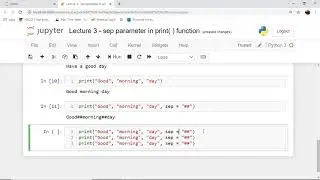 Python in 5 minutes | Lecture 3 | sep parameter of print( ) function