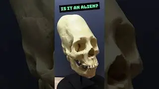Is it an Alien? 
