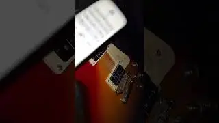 Fiddle guitar  plays
