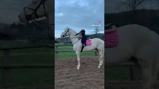 What a horse 