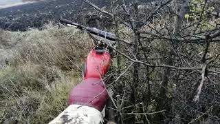 Тест драйв кроссового восхода (ВосХонда) и покатухи по местности
