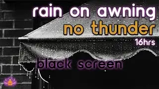[Black Screen] Rain on Awning No Thunder | Rain Ambience | Rain Sounds for Sleeping
