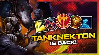 I snowballed with my season 13 tanknekton build and this is what happened...