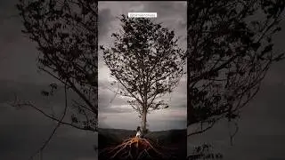 VOCÊ TOPARIA? Já segue no insta @olimalimonada 