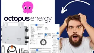 Bolleta octopus con Inverter Vevor plug&play 600w 