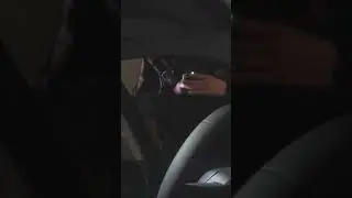 Инспектор, я привык когда меня просят на коленях