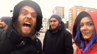 DT Vlog #2. Слем котят