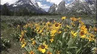 Day 7 + 8 - Grand Tetons