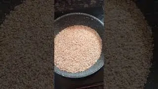 Til Ke Ladoo | Til Laddu Recipe | Til Laddu | How To Make Sesame Ladoo |